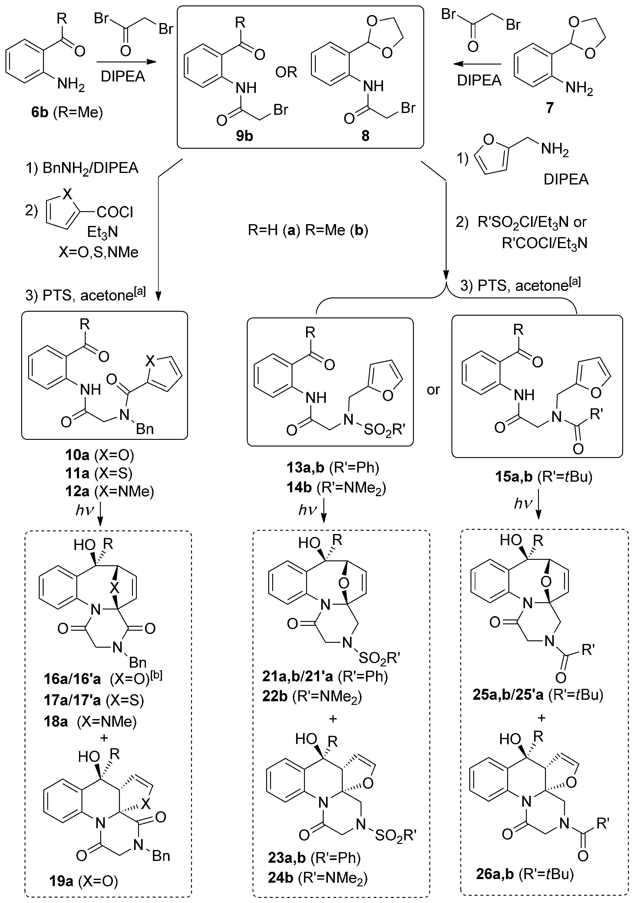 Peptoid-synthesis-inspired modular assembly of azaxylylene  precursors and their cyclizations. [a] Acetal hydrolysis step is required only  in the a (i.e. benzaldehyde) series. [b] Major diastereomer is shown, the  minor hydroxy epimer (not shown) is denoted with a prime, 16’a etc. Bn=benzyl, DIPEA=diisopropylethylamine, PTS=pyridinium para-tolue-nesulfonate.