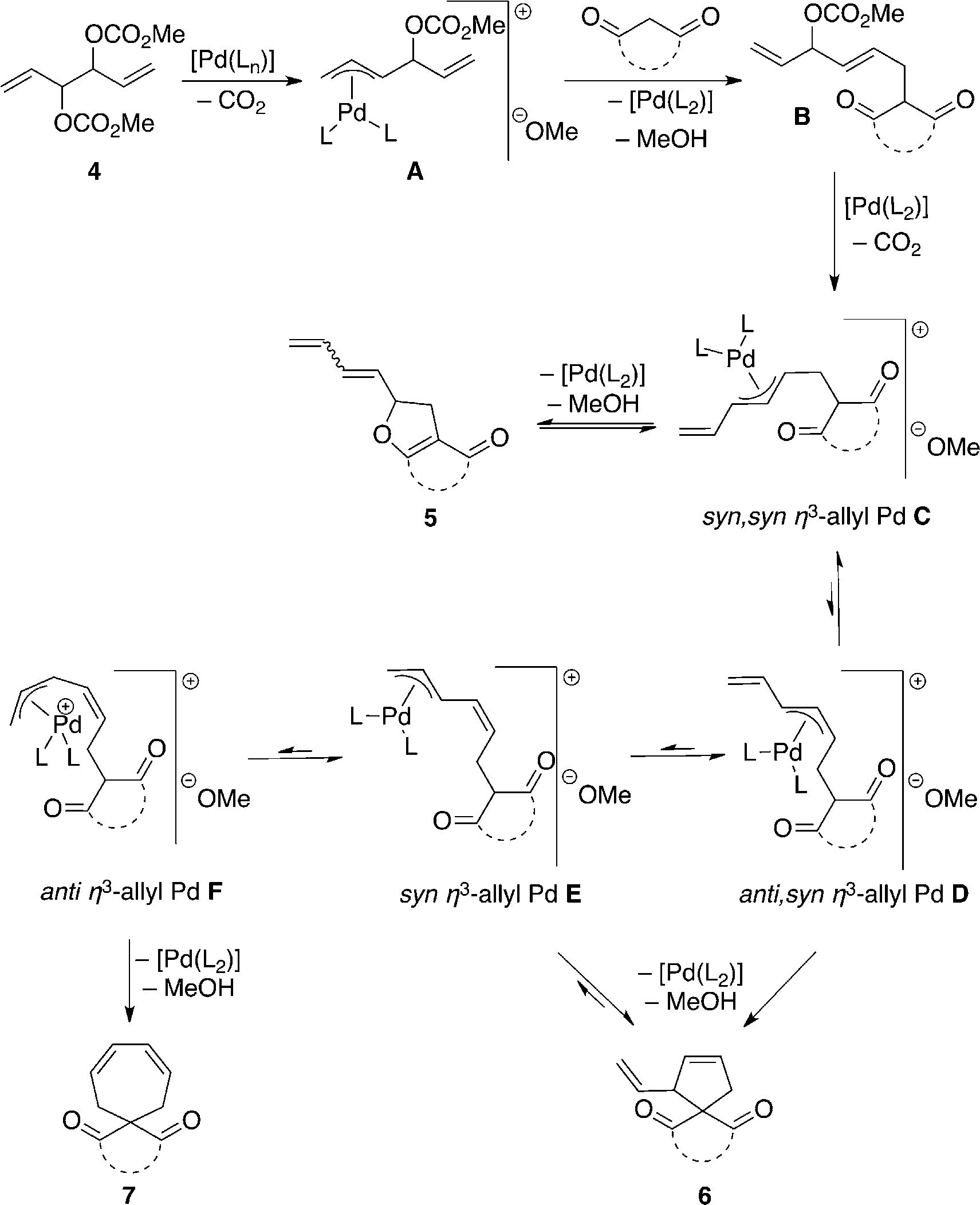 Mechanistic proposal. 