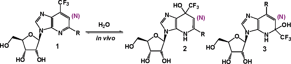 Concept: 2- and 6-trifluoromethyl-containing purines and 1-deazapurines as inhibitors of adenosine deaminase (ADA).