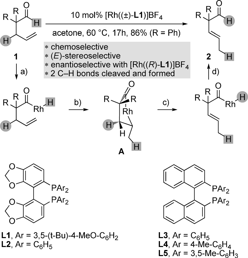 Rhodium-catalyzed isomerization of 4-pentenals into 3-pentenals by endocyclic b-H elimination.