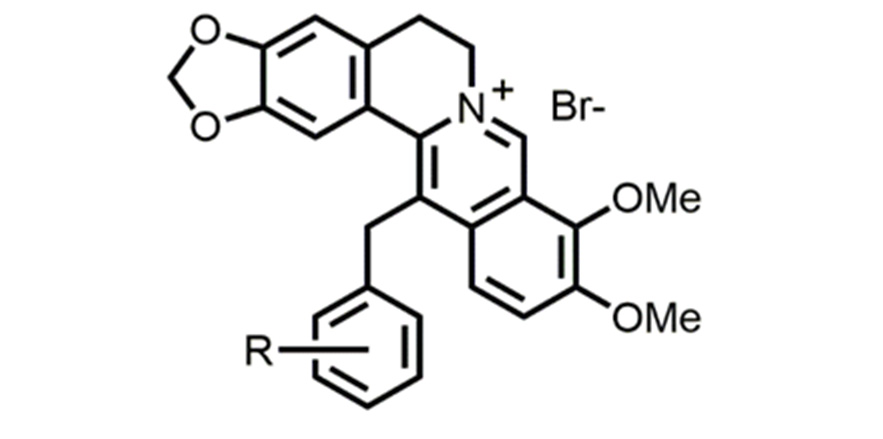 Structure of berberine derivatives