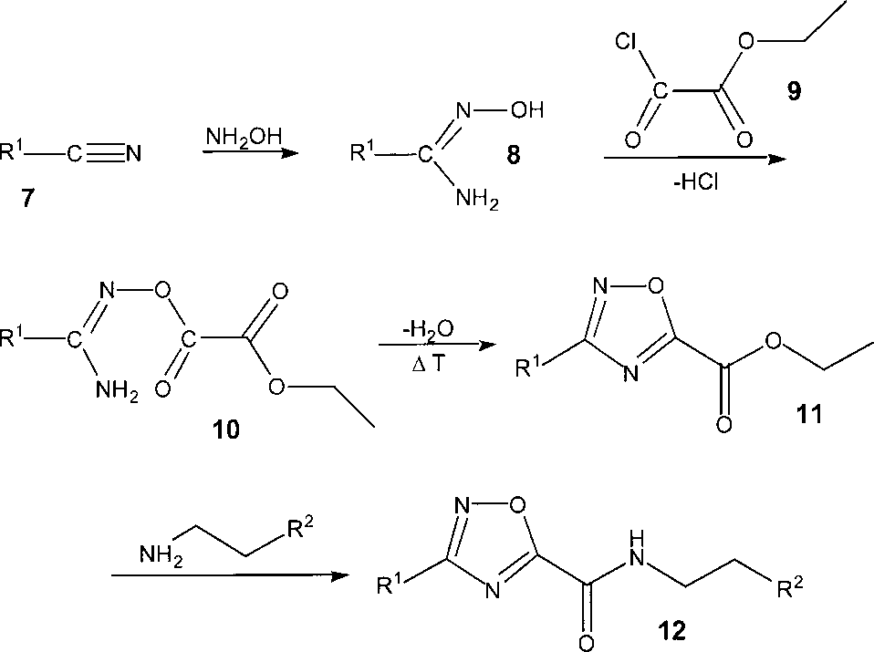 Synthesis of 1,2,4-oxadiazole-5-carboxamides 12 from the nitriles 7 and hydroxylamine.