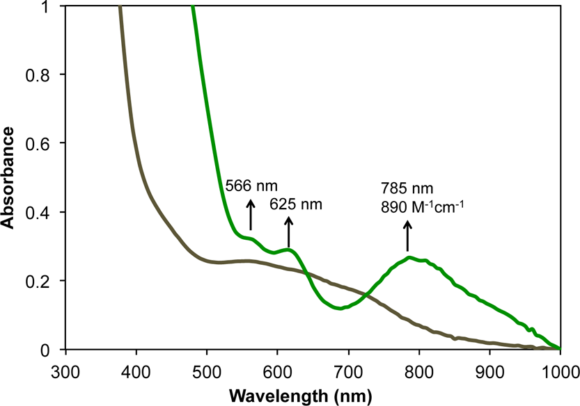 UV-vis spectral change for the conversion of 3 (brown trace) to 4 (green trace) with 0.5% Na/Hg amalgam in tetrahydrofuran (THF). 