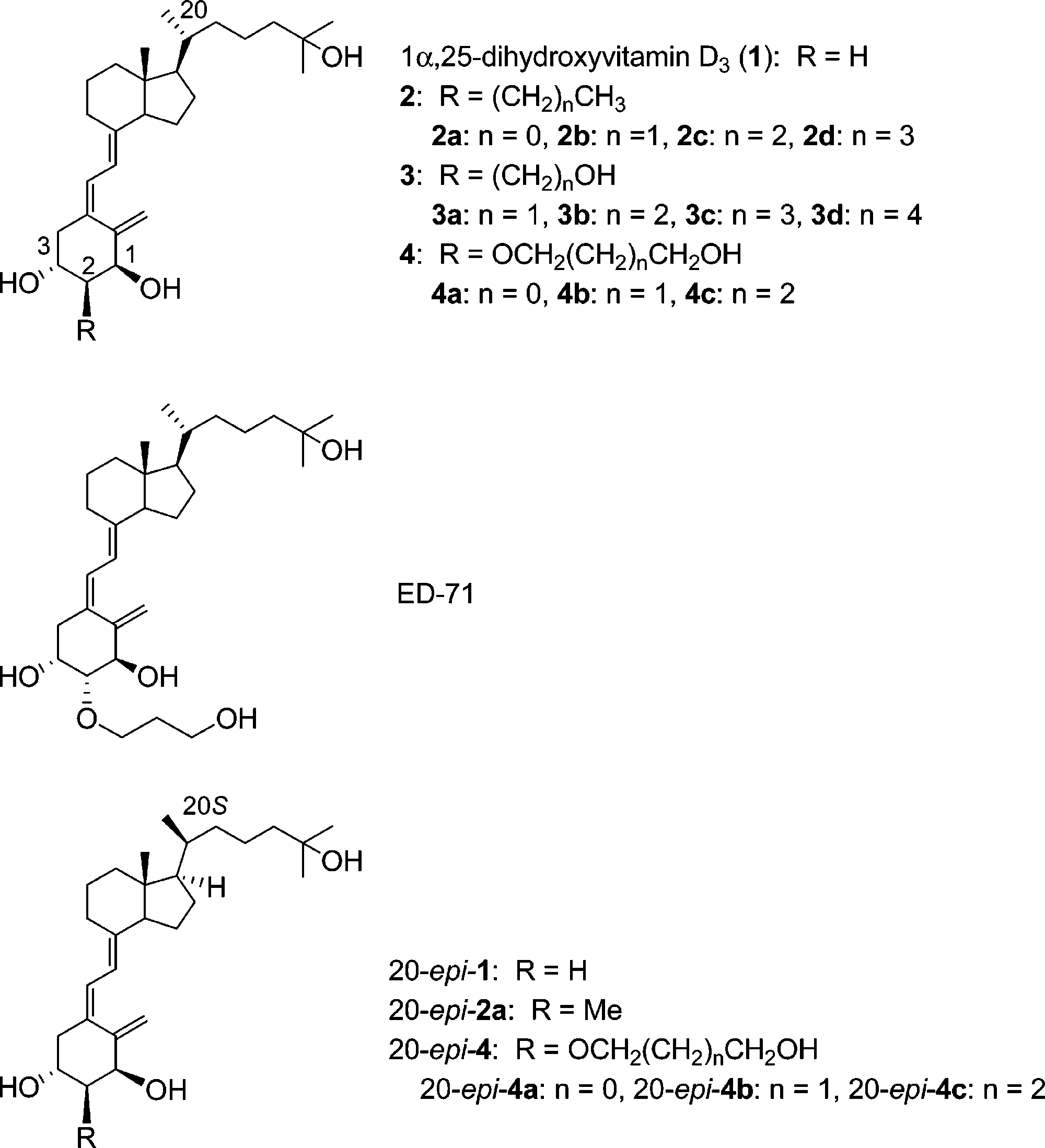 Structures of 1α,25-dihydroxyvitamin D3 (1) (and its 2R-substituted analogues 2-4), ED-71, and 20-epi-1 (and its 2R-substituted analogues 20-epi-2a and 20-epi-4a -c). 