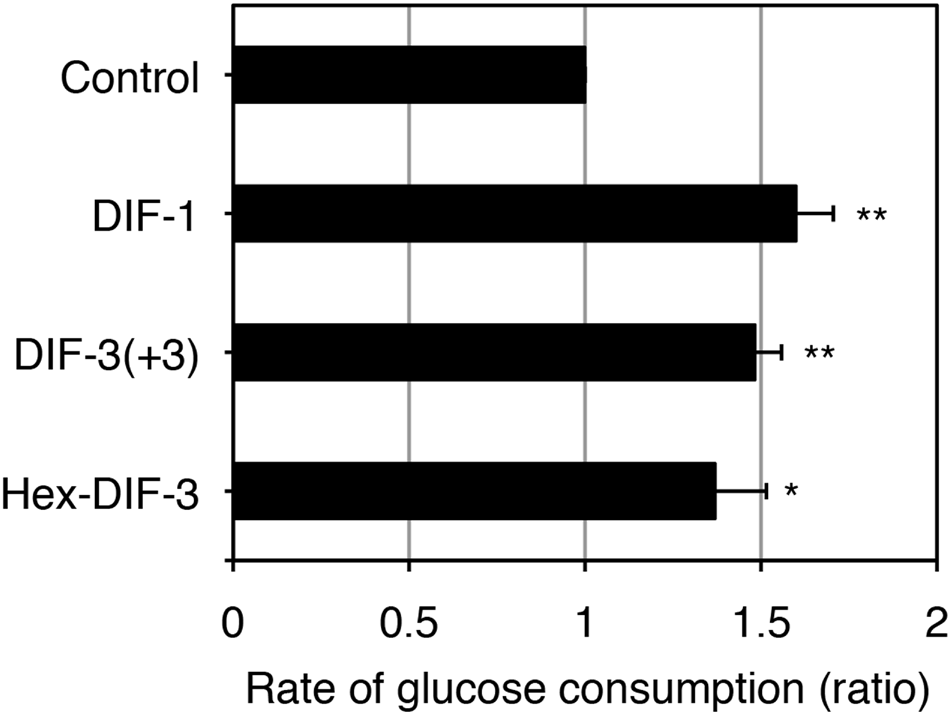 Effects of DIF Derivatives on Glucose Consumption in 3T3-L1 Cells 