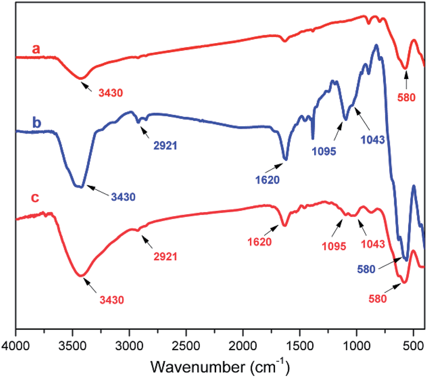 FT-IR spectra of Fe3O4 (a), primitively prepared LAIL@MNP (b), and the LAIL@MNP sample after the ﬁfth recovery (c).