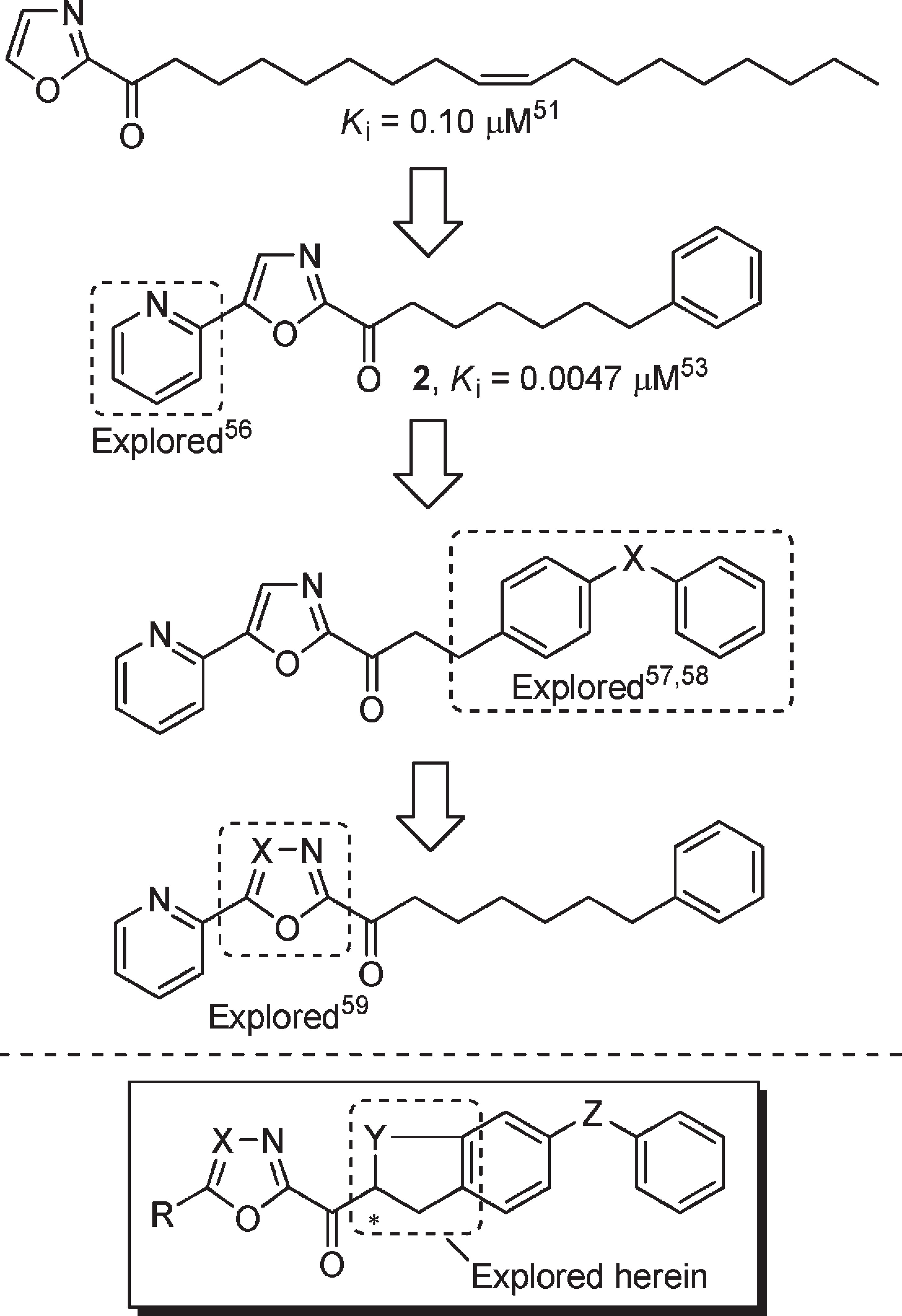 We performed a series of systematic structure–activity relationship (SAR) studies on 2 , exploring the 4- and 5-positions of the central oxazole, the C2 acyl side chain, and the central heterocyclic ring, and found that each independently affects the potency or selectivity of the inhibitor, Figure 2 .