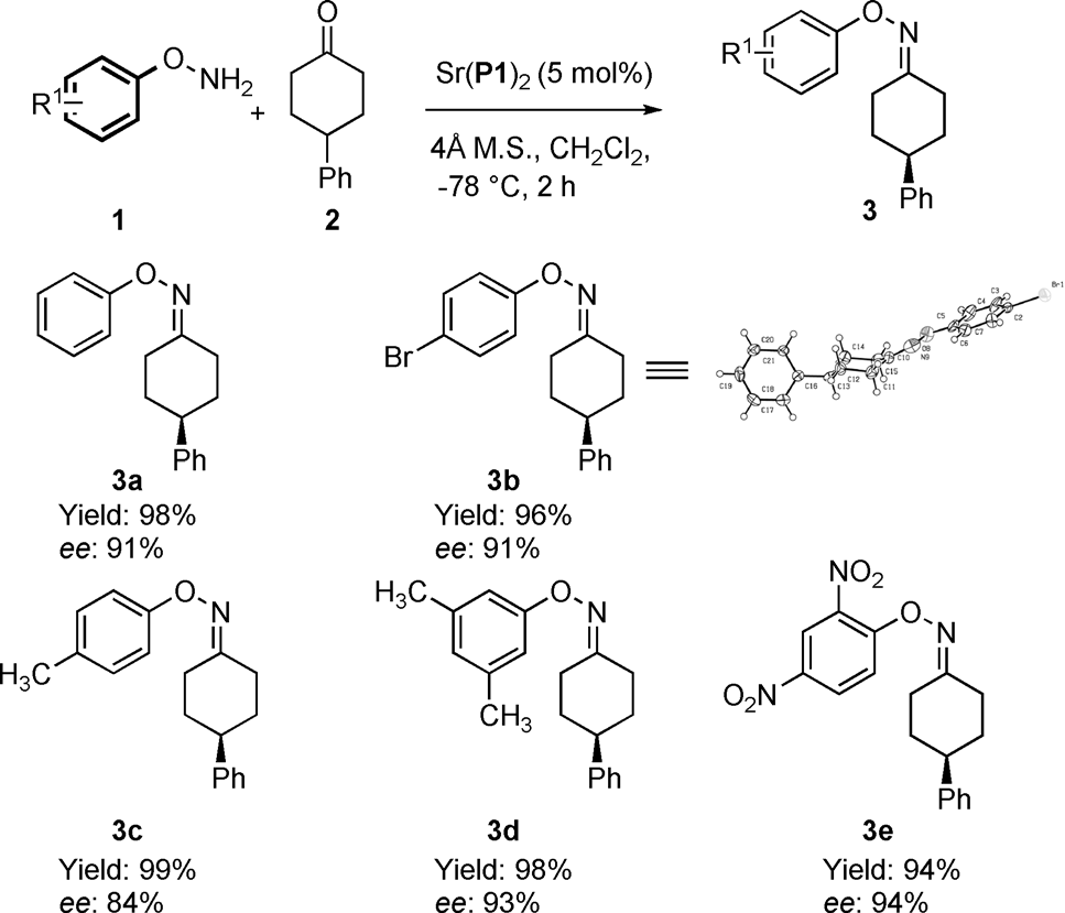 Substrate scope for the synthesis of chiral cyclohexylidene oximes.