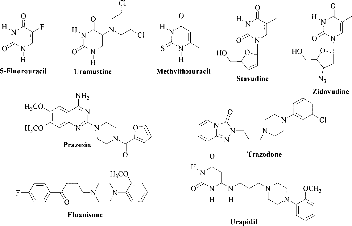Several Pharmacologically Useful Agents Containing Uracil and Piperazine Moieties: 5-Fluorouracil, Uramustine, Methylthiouracil, stavudine, zidovudine, prazosin, trazodone, Fluanisone, urapidil.