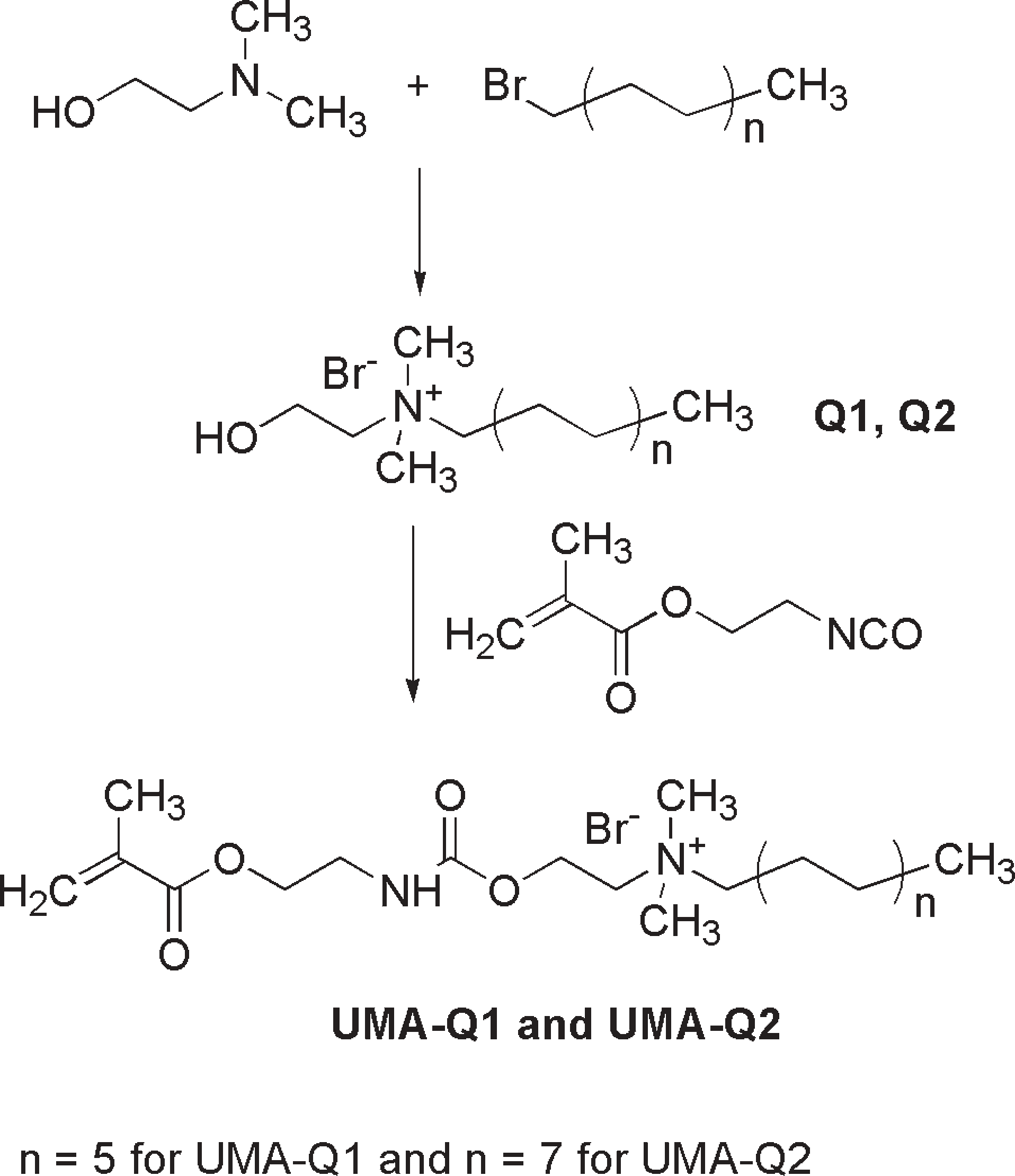 Synthesis of LC urethane methacrylates (UMA-Q1 and UMA-Q2) bearing quaternary ammonium groups.