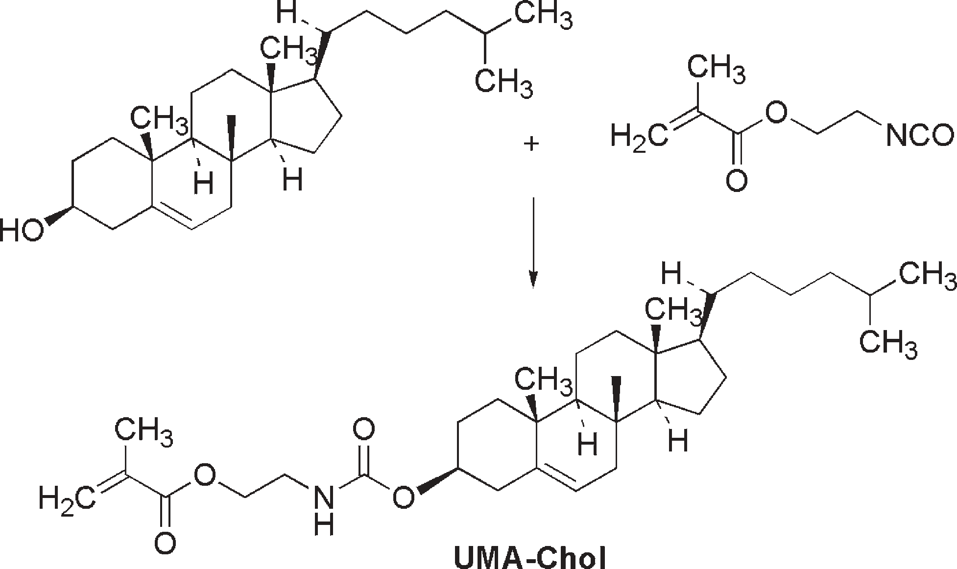 Synthesis of LC urethane methacrylate with cholesteryl moiety (UMA-Chol).