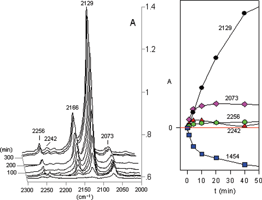 (Left) Partial IR difference spectra of 5-phenyltetrazole 2 at  12 K in Ar matrix at different photolysis times, showing peaks due to the photolysis products. Peaks at 2129 and 2166 cm−1 are due to PhN=C=NH 5. The peak at 2073 cm−1 is assigned to PhCNNH 6. Ordinate in absorbance units. (Right) Plots of IR absorbances at  different wavelengths versus photolysis time. Ordinate in relative  absorbance units.