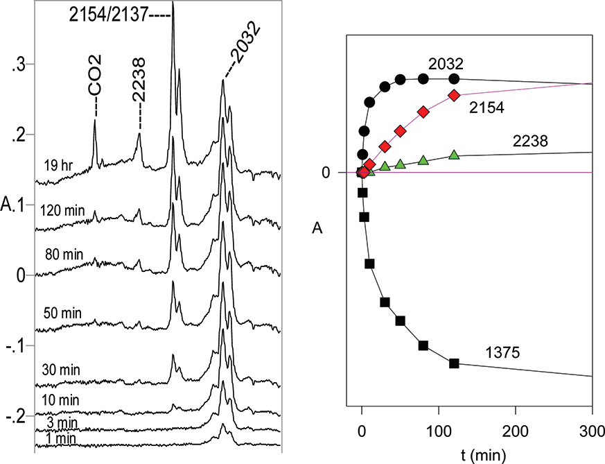 (Left) Partial IR difference spectra of tetrazole 16 at 12 K in  Ar matrix at different photolysis times at 254 nm. The positive peaks are due to the photolysis products. The peaks at 2154 and 3137 cm−1 belong to the same compound, N-methyl-N′-phenylcarbodiimide 20. Abscissa 1900−2500 cm−1. (Right) Plots of IR absorbances at different wavenumbers versus photolysis time. The 1375 cm−1 band belongs to  the starting material 16. Ordinates in arbitrary absorbance units. 