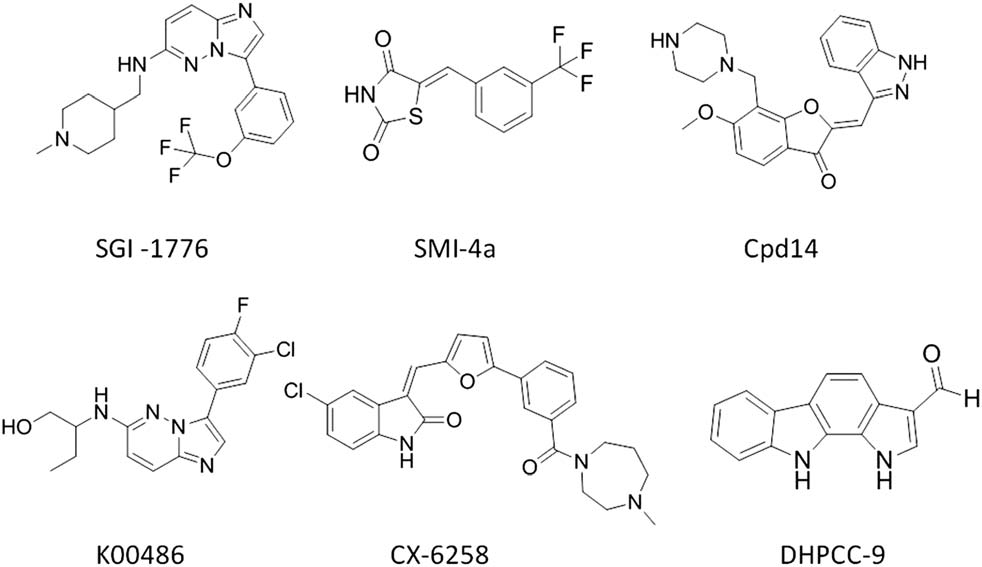 Small molecule inhibitors targeting Pim family kinases: SGI-1776, SMI-4a, K00486, CX-6258, DHPCC-9