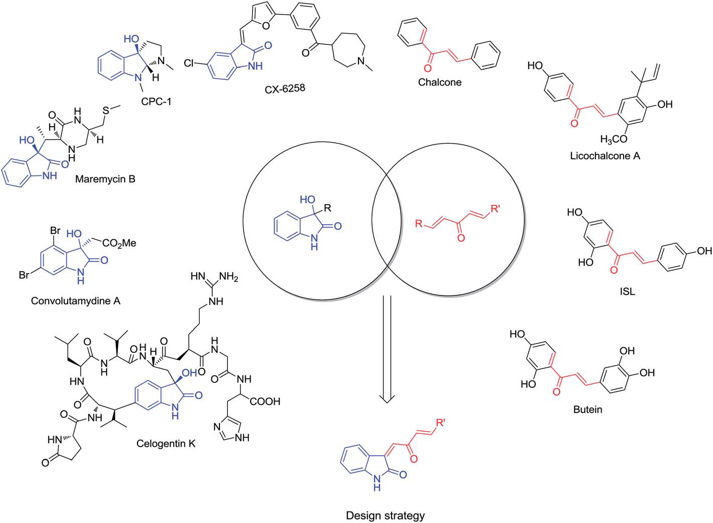 Biologically important molecules containing C3-functionalized oxindoles or a,b-unsaturated ketones, and the design strategy of  combinatorial chemistry for new compound.