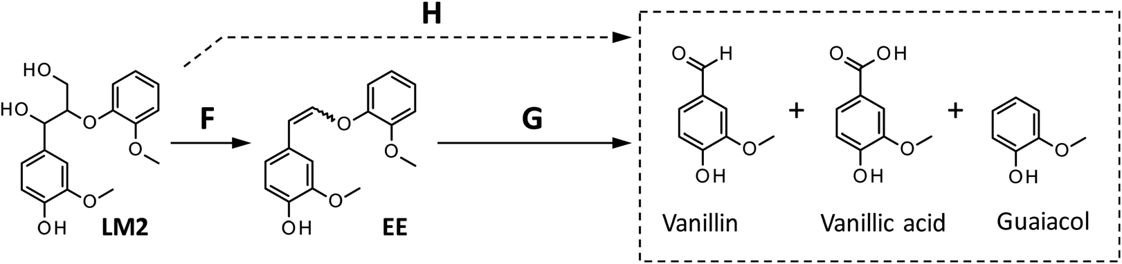 Reaction pathways from Lm2 to the products detected in this study. The formation of vanillic acid via pathway H is less significant than that via pathway G
