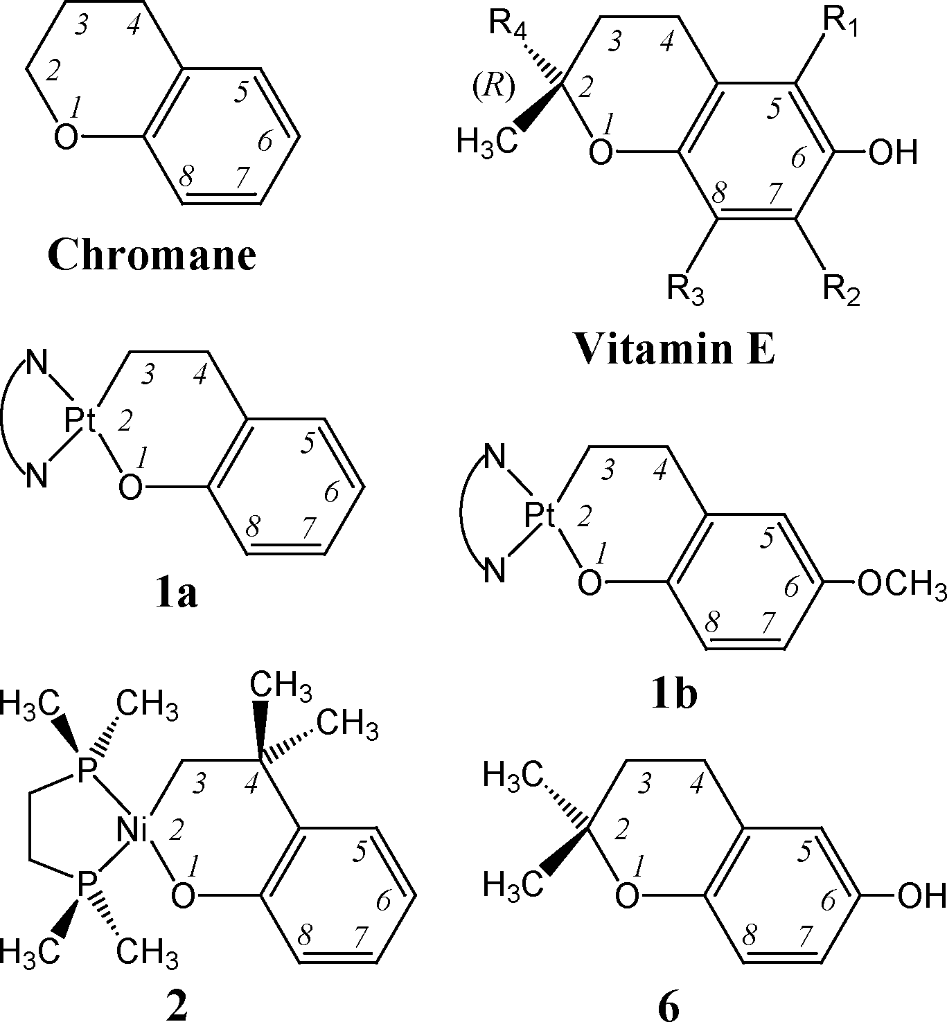 Structure of chromane, vitamin E (tocopherols and tocotrienols