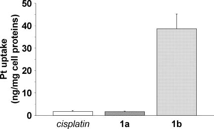Platinum intracellular accumulation in HeLa cells after 3 h continuous exposure to cisplatin, 1a and 1b, administered at the same concentration (1 lM).