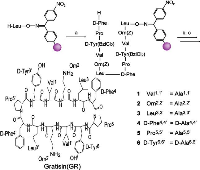 Syntheses of Gratisin and its Ala-substituted analogues 1–6.