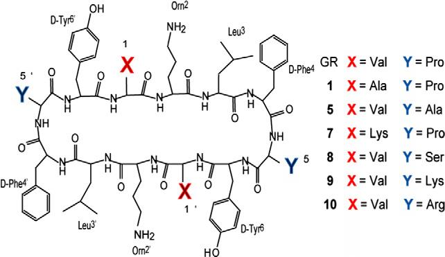 Primary structures of Gratisin and its analogues (1, 5, and 7–10) 