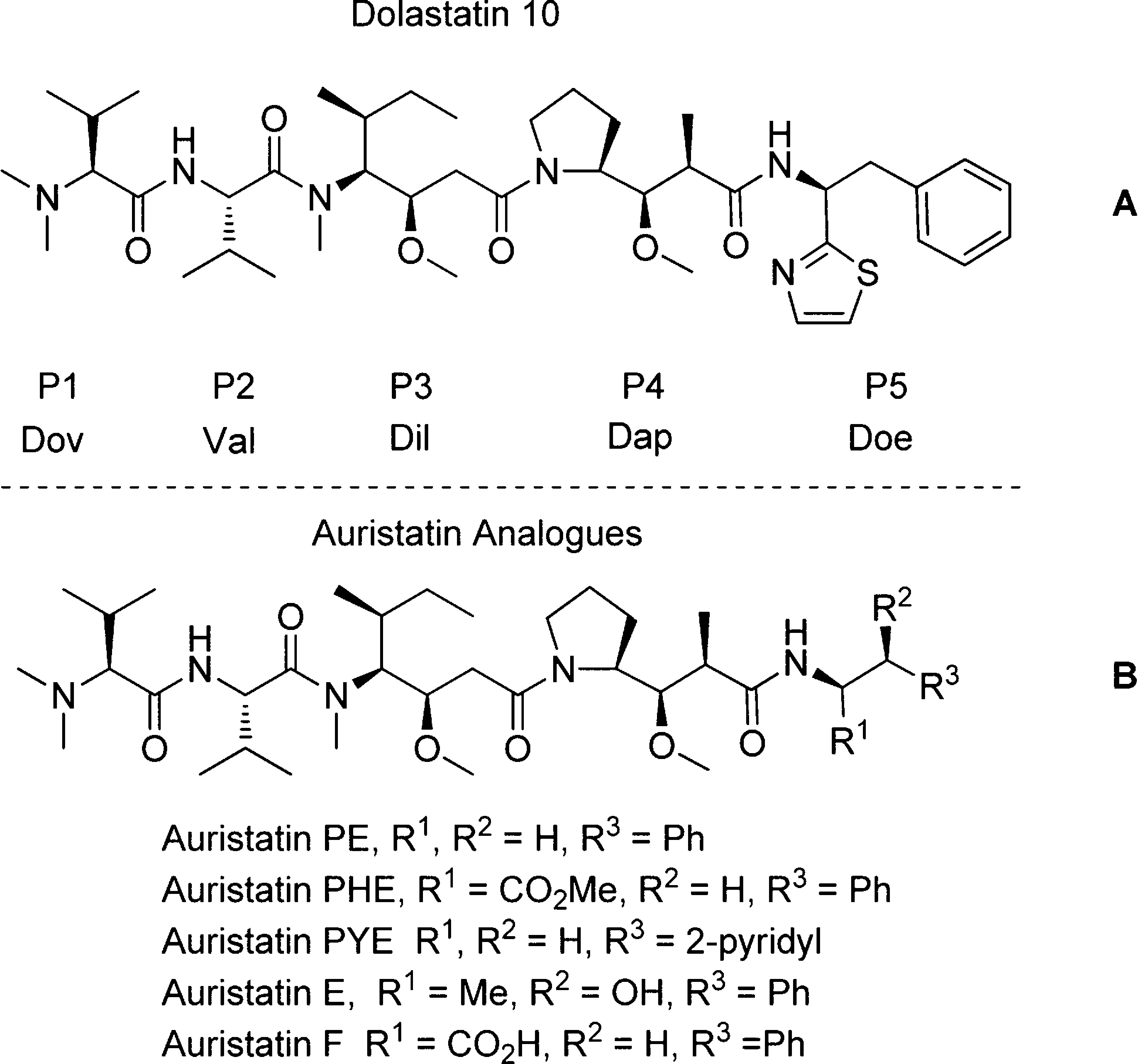 Dolastatin derivatives. Dov, dolavaline; Dil, (3R,4S,5S)- dolaisoleuine; Dap, (2R,3R,4S)-dolaisoleuine; Doe, (S)-dolaphenine. 