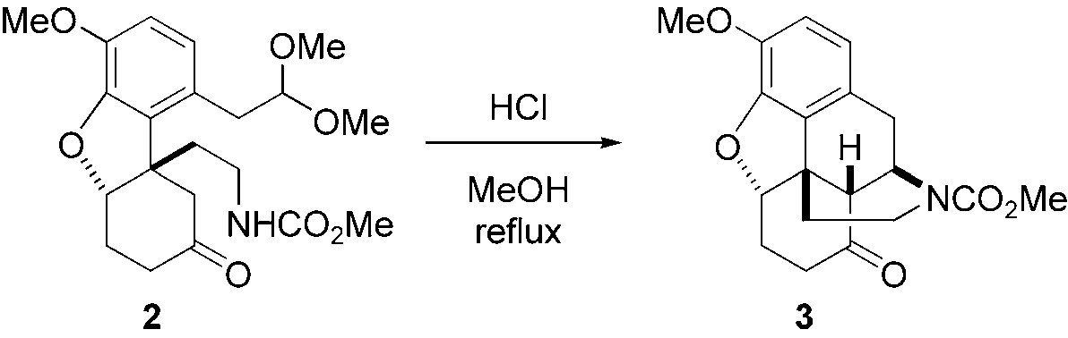 Mannich-type reaction to construct the morphinan skeleton. 