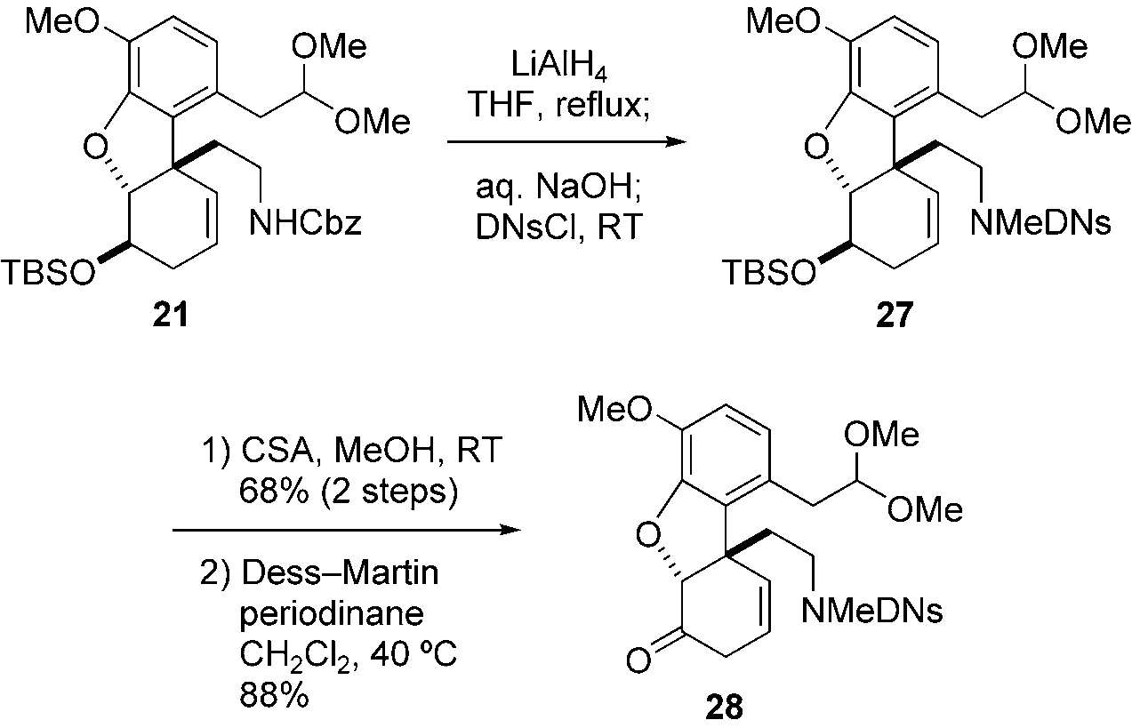 Preparation of key intermediate 28. DNsCl=2,4-dinitrobenzenesulfonyl chloride.