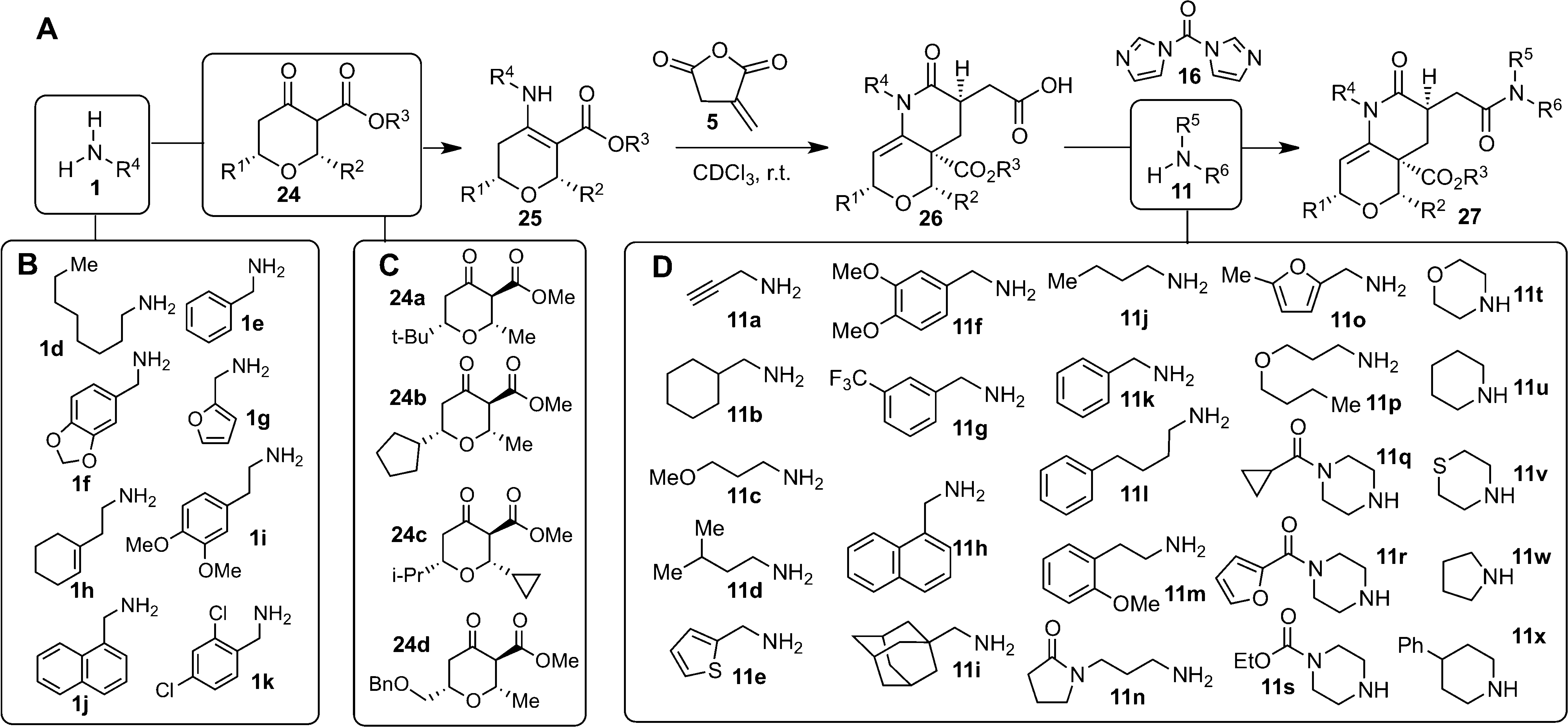 Synthesis of a 768-membered library of 2-piperidinones fused to dihydropyrans.