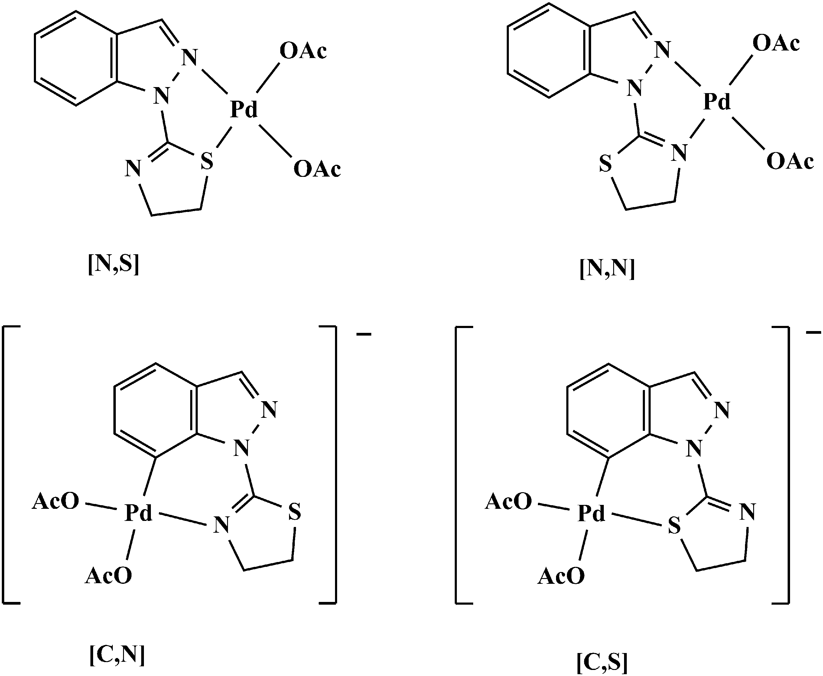 Possible compounds that may obtained by reaction of palladium acetate with TnInA, this ligand acting as a bidentate one.