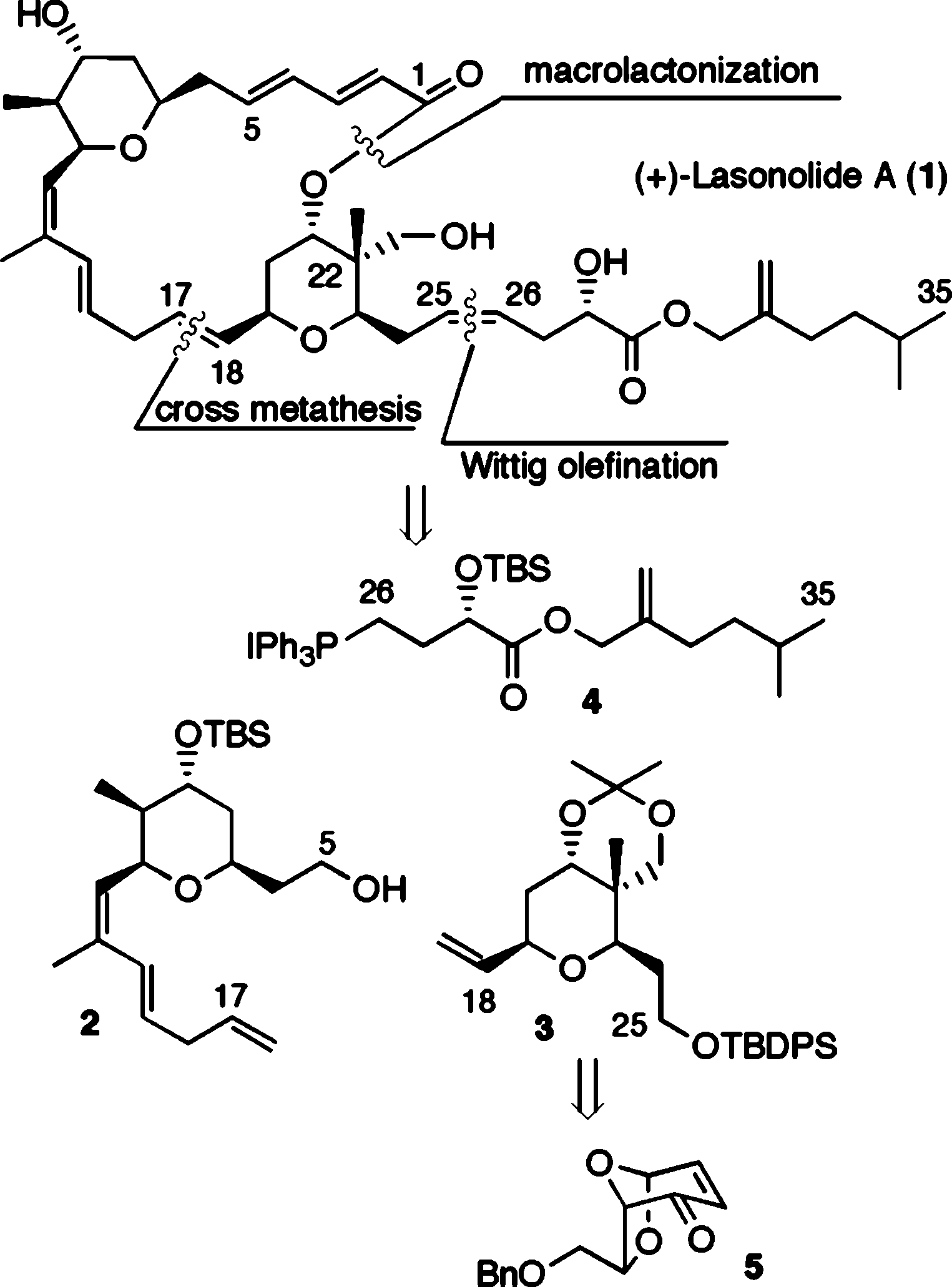 Structure of (+)-lasonolide A and retrosynthetic analysis.