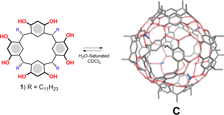 C-undecylresorcin[4]arene 1 self-assembles to form the hexameric resorcinarene capsule C in the presence of H2O-saturated CDCl3. In blue are shown the bridging water molecules with H-bond-donating free valence toward the center of the cavity of C.