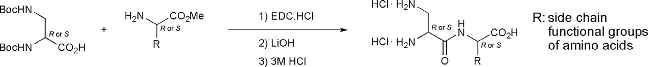 Synthesis of Dap dipeptides.