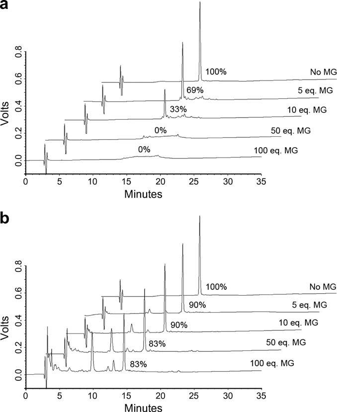 When incubated with methylglyoxal (MG) alone, the insulin peak on the HPLC chromatogram weakened in a concentration-dependent manner with increasing MG concentration until it completely disappeared at 100 equivalents, as shown in Figure 1a. However, under the same conditions, incubation of insulin with MG in the presence of D-Dap-L-Leu (dipeptide/MG = 1.1 equivalents) significantly reduced this trend (Figure 1b).