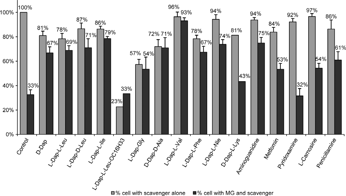 MG scavenging effect of N-terminal-Dap-dipeptides and known AGE inhibitors in the protection of EAhy926 endothelial cells.