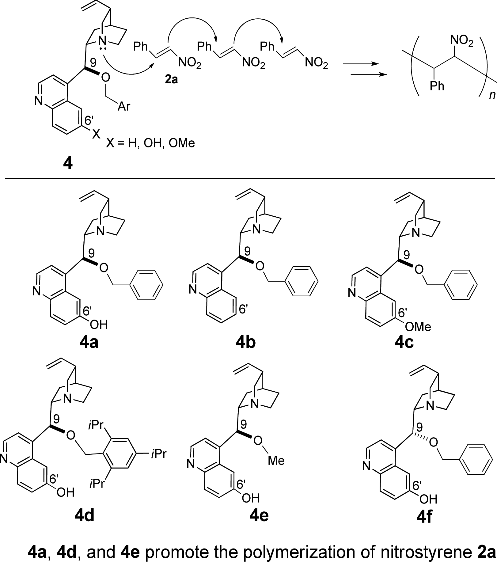 Quinine Derivative-Promoted Polymerization of Nitrostyrene