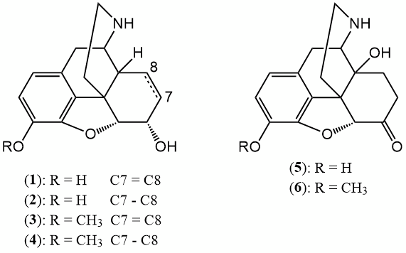 Normorphine derivatives.