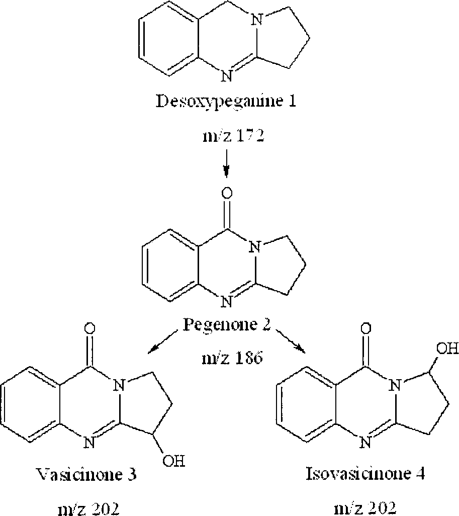 Proposed main metabolic pathway for Desoxypeganine 1 by microsomal enzymes.