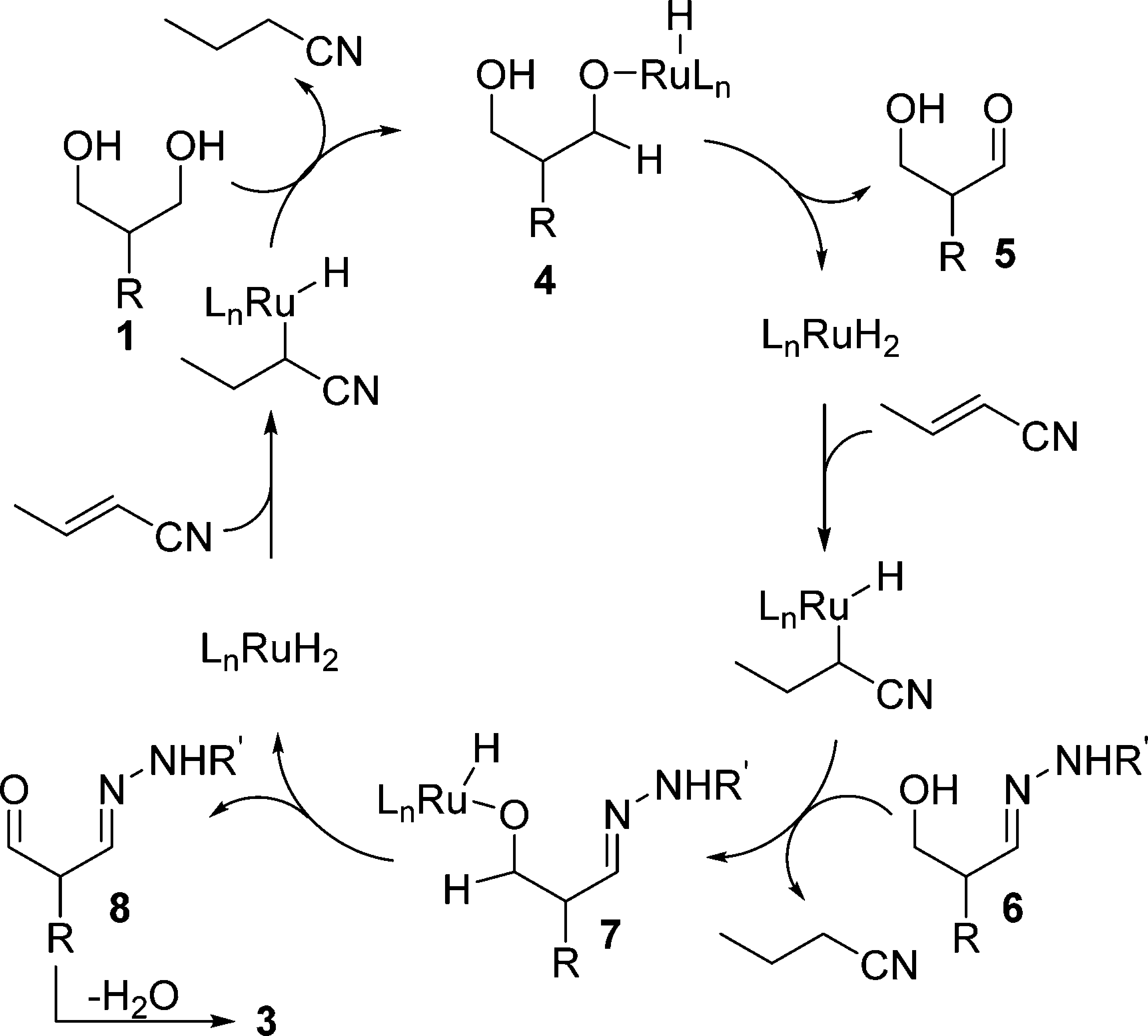 The postulated mechanism may involve an initial migratory insertion of the Ru dihydride catalyst with crotonitrile.