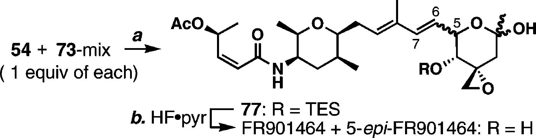 Our First Synthesis of FR901464