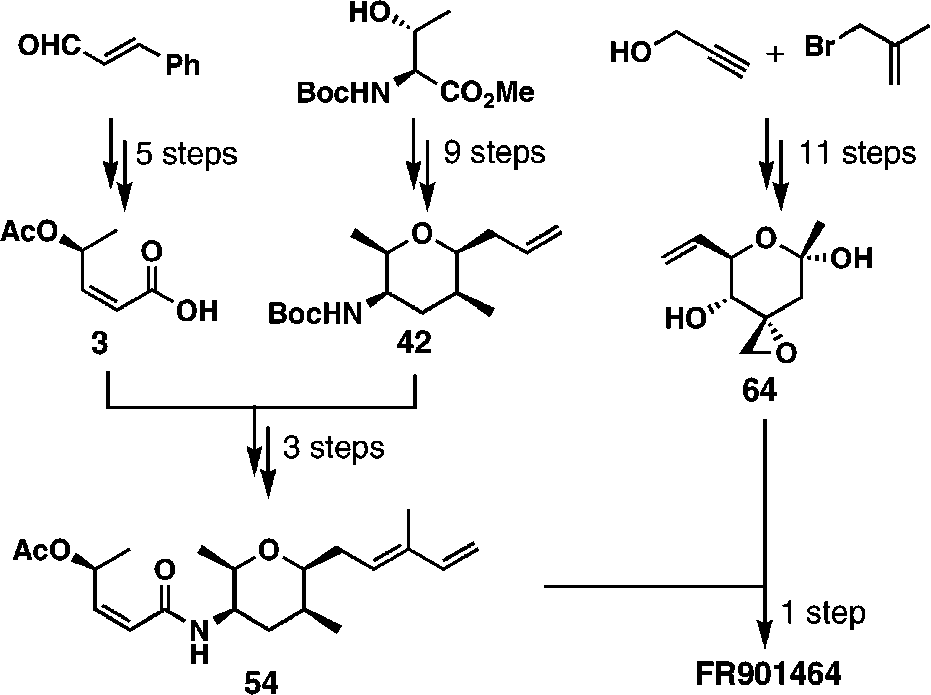 Summary of the Total Synthesis of FR901464