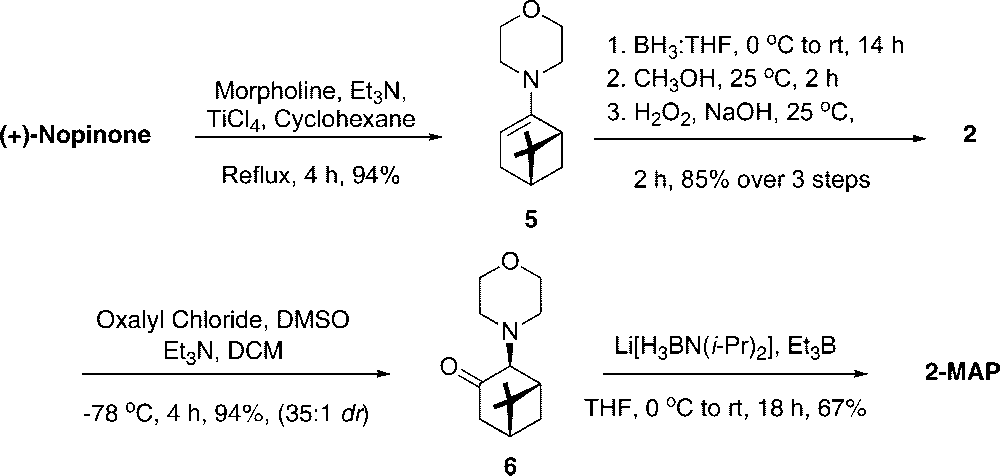 Synthesis of Chiral Auxiliary 2-MAP