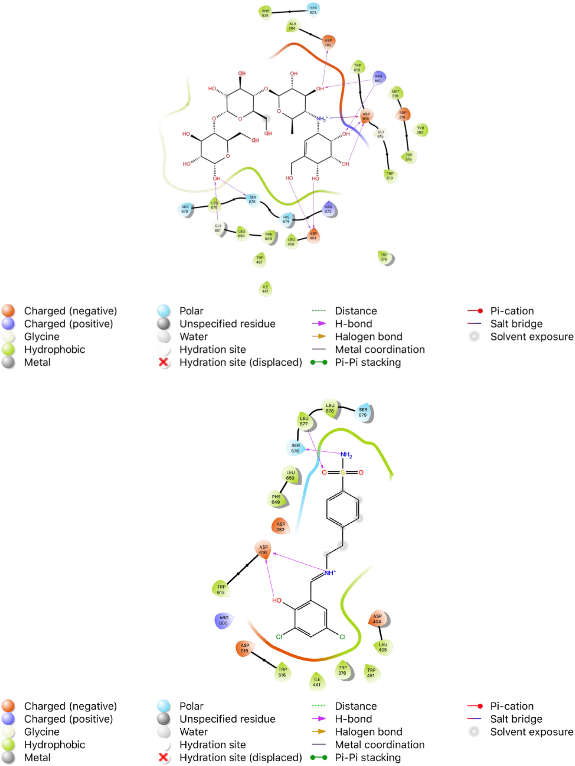2D binding modes of native ligand α-acarbose (ACR) and compound 10 in the active site of α-GLY (PDB ID: 5NN8), respectively.
