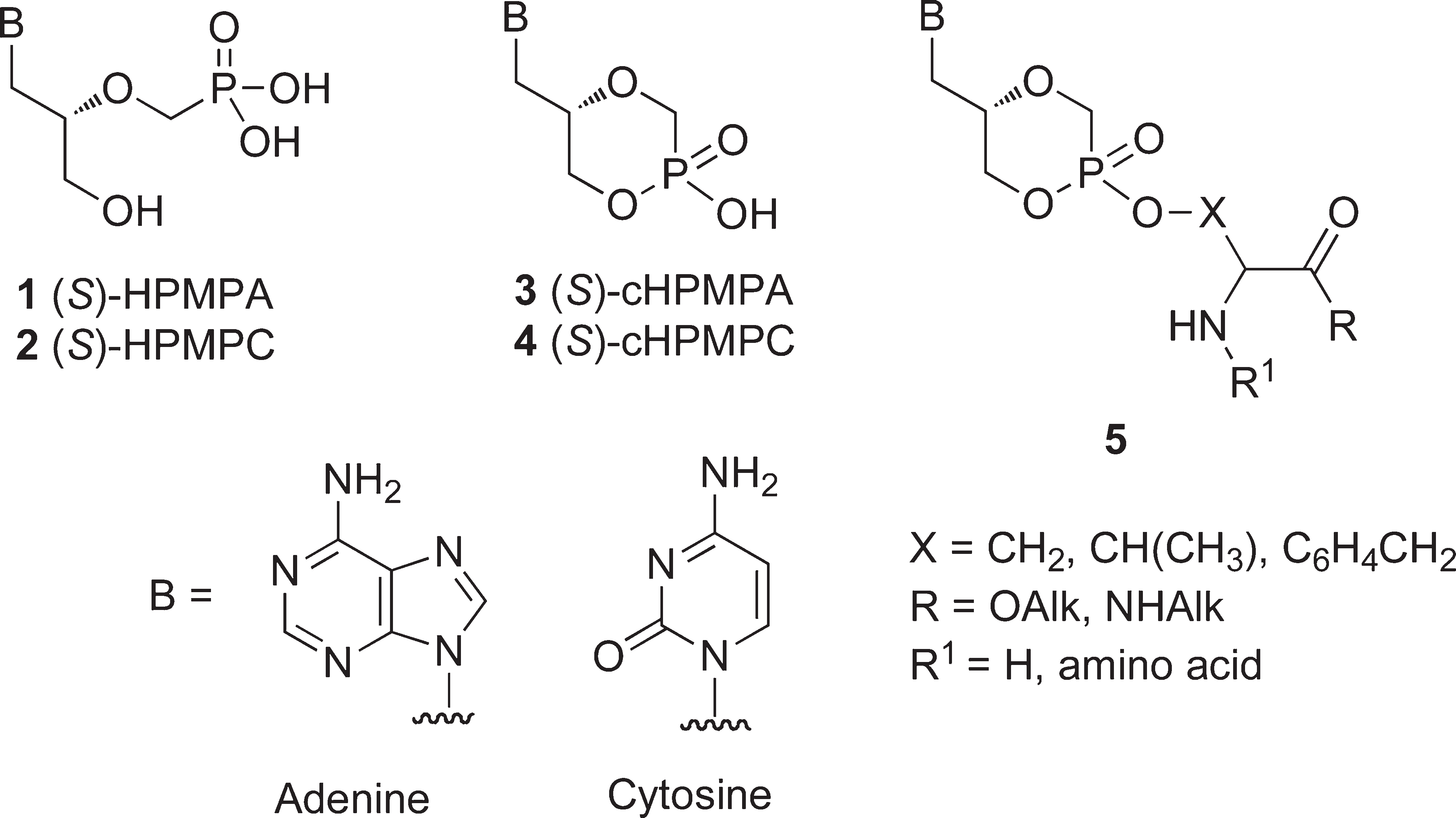 Structures of (S)-HPMPA (1), (S)-HPMPC (2), and their cyclic forms 3 and 4 and general structure of the amino acid/dipeptide ester prodrugs 5.