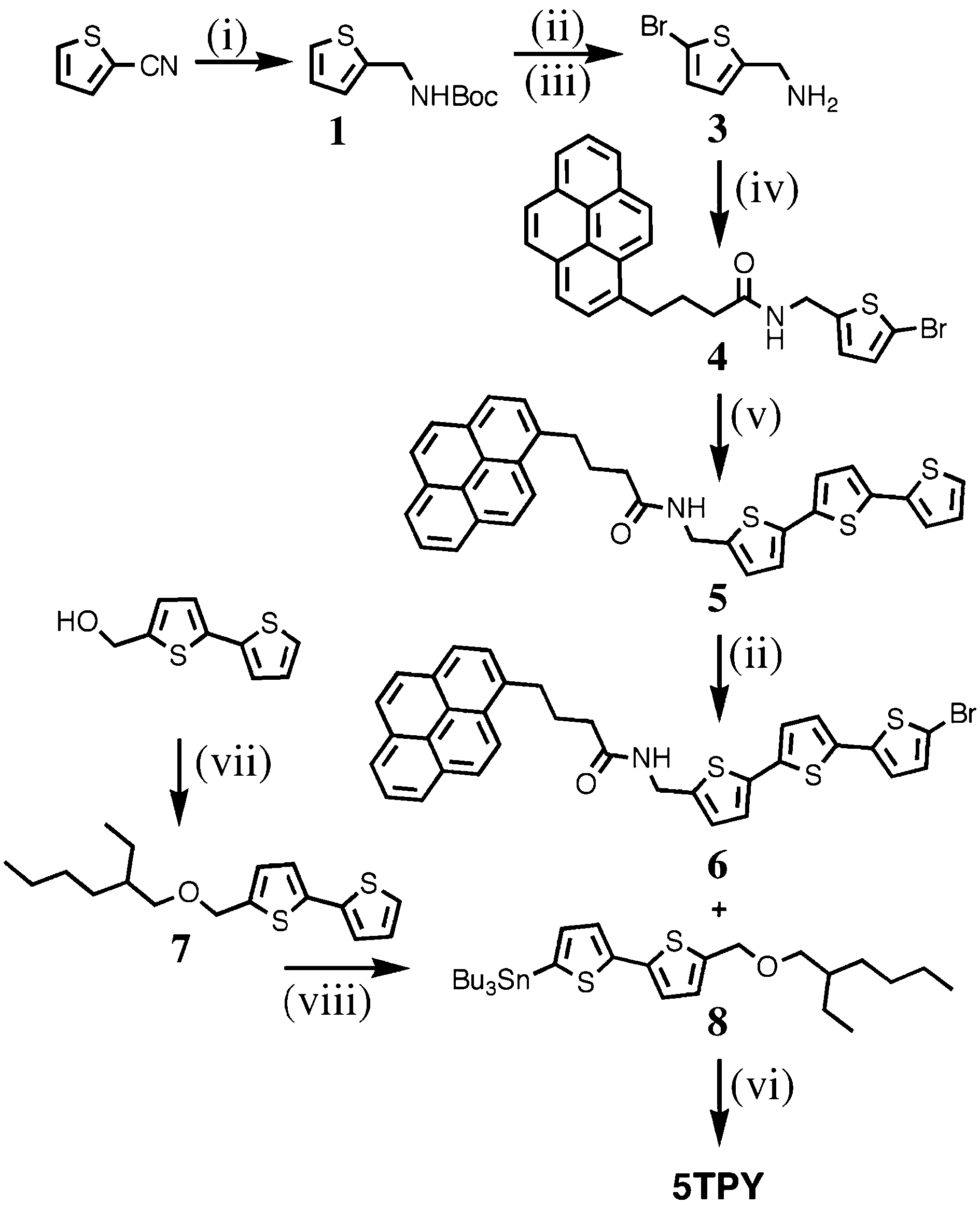 Reagents and conditions: (i) LiAlH4, Et2O, 0 1C, 1 h, then  Boc2O, rt, 1 h; (ii) NBS, DMF, 0 1C, 4 h; (iii) TFA, CH2Cl2, rt, 1 h;  (iv) 1-pyrenebutyric acid, EDCI, DPTS, CH2Cl2, rt, 1 h; (v) 5-(tributyltin)-  2,20-bithiophene, Pd(PPh3)4, DMF, 80 1C, 18 h; (vi) Pd(PPh3)4, DMF,  toluene, 80 1C, 18 h; (vii) NaH, DMF, 2-ethylhexyl bromide;  (viii) THF, nBuLi, -78 1C, 2 h, Bu3SnCl.  