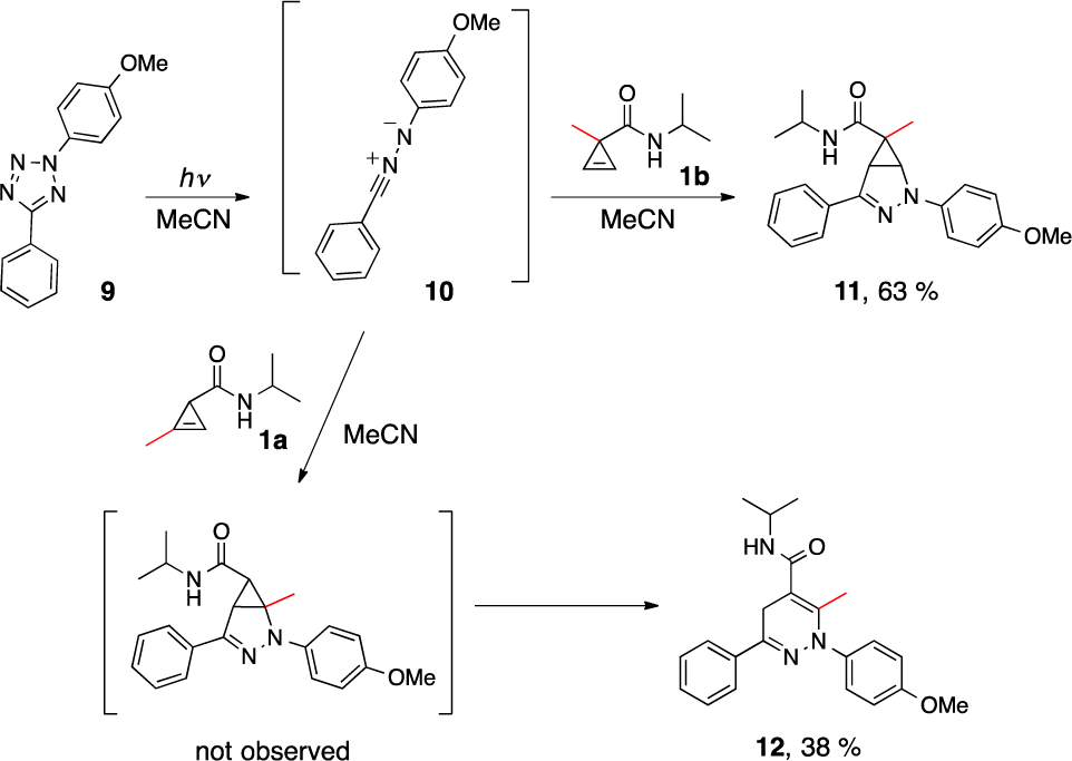 Cyclopropene reacts with nitrile imine to form a stable cyclic adduct