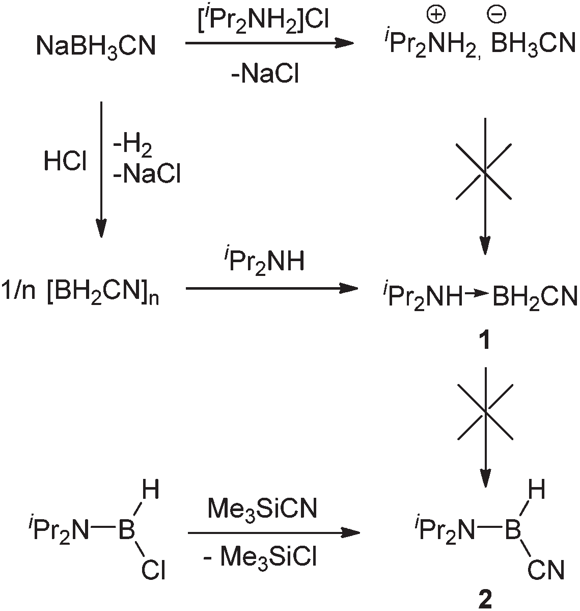 Synthesis of diisopropylamine-cyanoborane 1 and diisopropylamino-(cyano)borane 2.