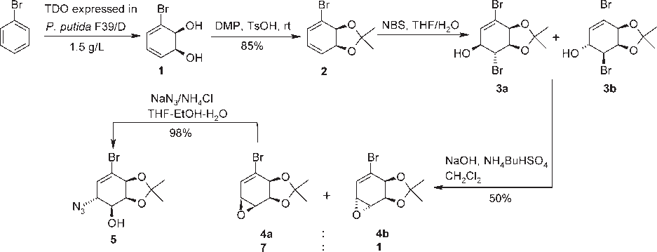 Synthesis of homochiral azide 5 from bromobenzene.