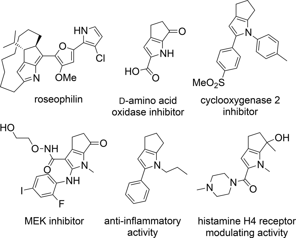 Selected examples of bioactive cyclopenta[b]pyrroles.