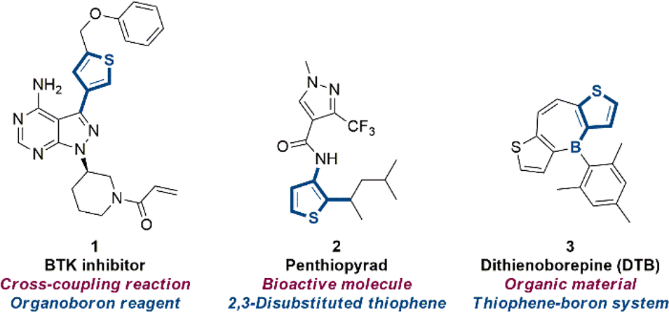 Synthetic importance of thiophene building blocks.