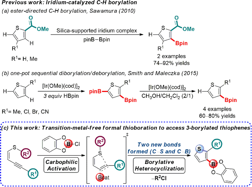 Current Strategies for the Borylation of Thiophenes
